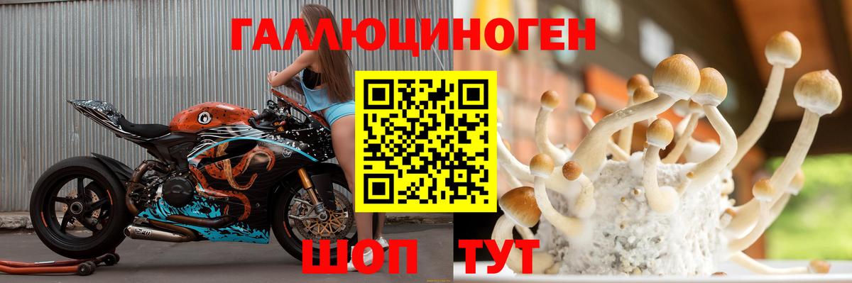 Галлюциногенные грибы Psilocybe  хочу наркоту  Сафоново  Вход с VPN 